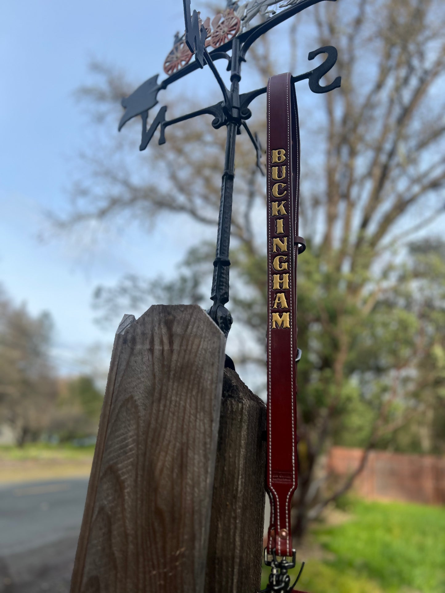 Radio Strap with Holster