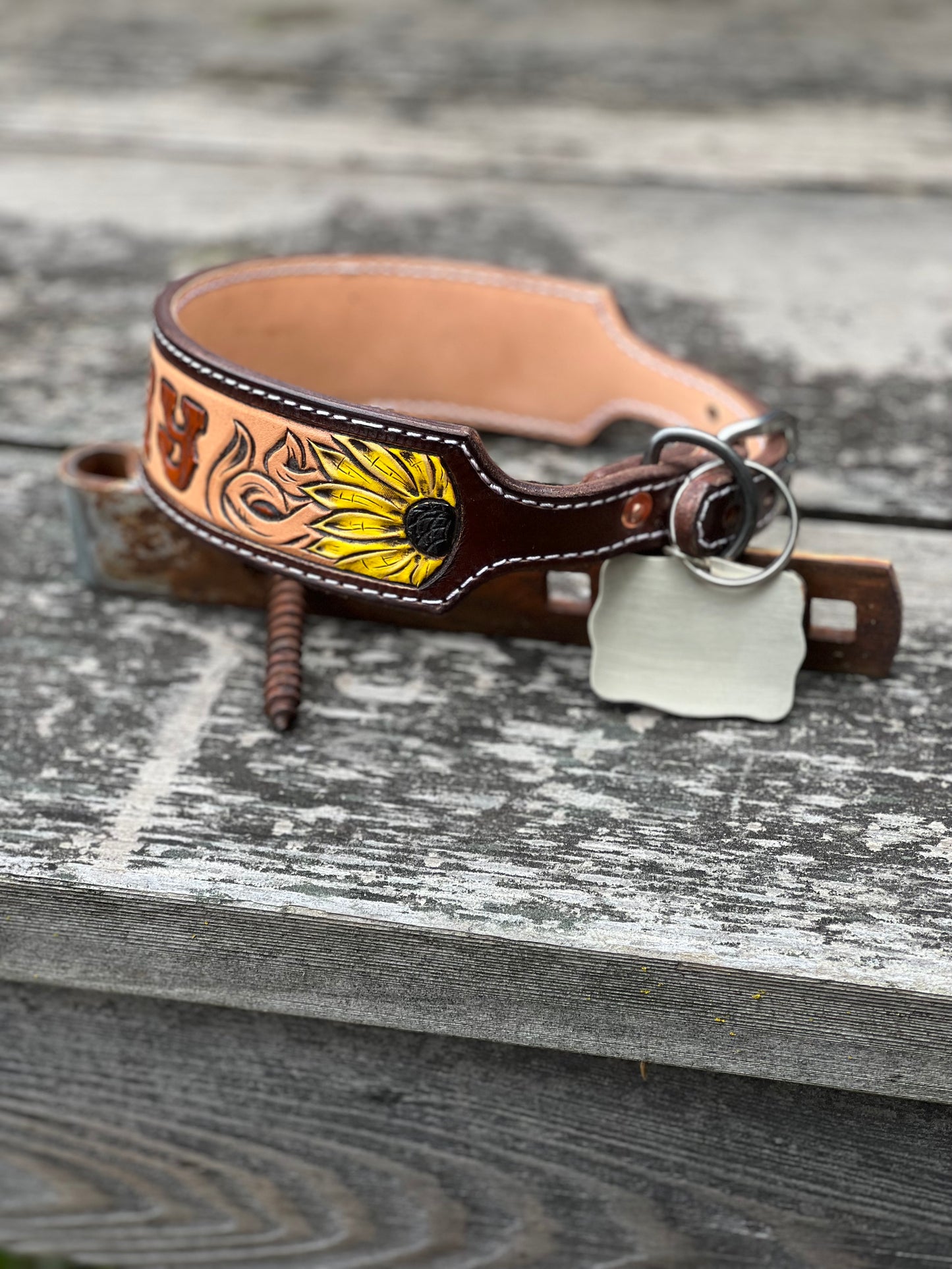 Custom Leather Dog Collar